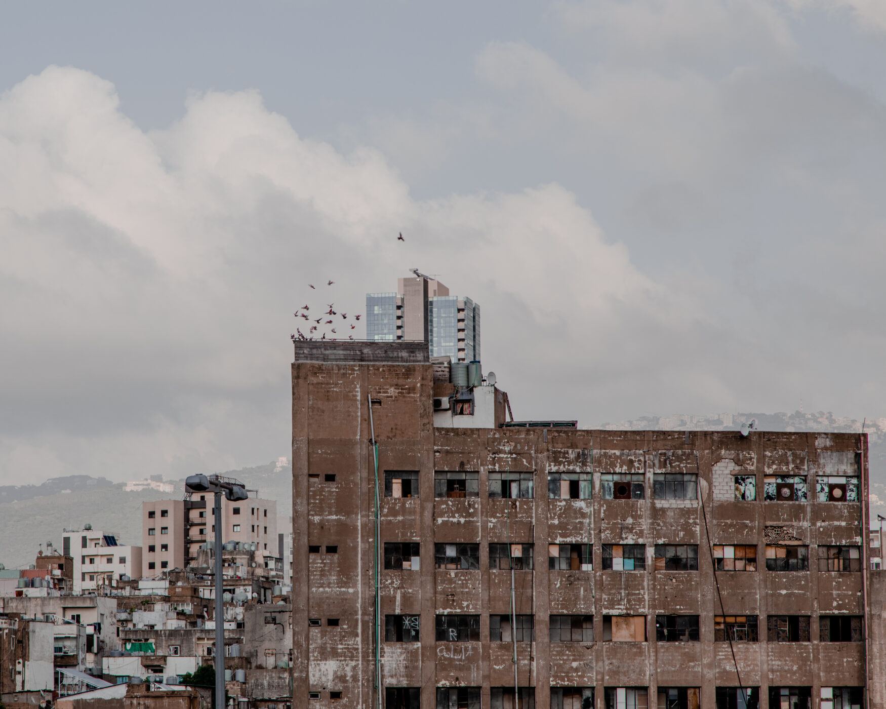In the foreground is a reddish-brown building, with a flock of birds flying from the roof, in the background one can see an urban landscape. The image is taken of Beirut.