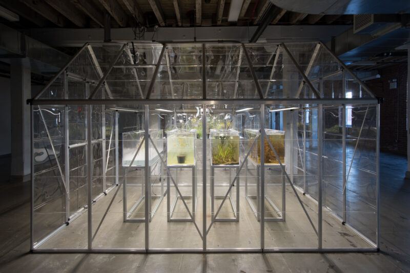 Plants grow inside multiple indoor greenhouse structures in a brightly lit, windowless room.